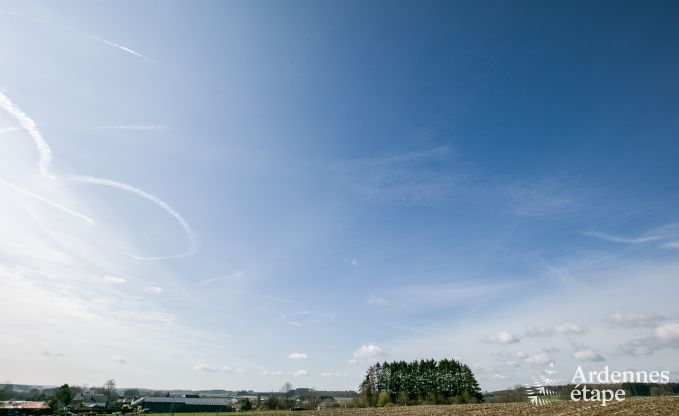 Maison de vacances avec piscine, wellness et jeux � Paliseul pour 14 personnes en Ardenne