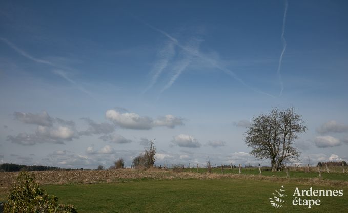 Maison de vacances avec piscine, wellness et de nombreux jeux, � Paliseul pour 28 personnes en Ardenne