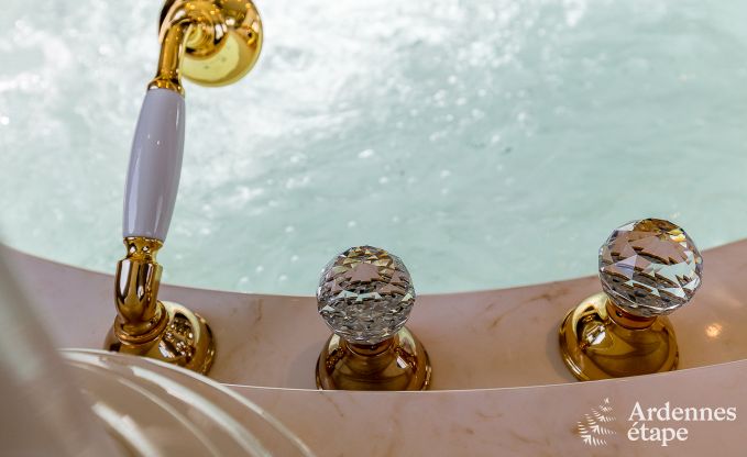 Maison de vacances avec piscine, wellness et de nombreux jeux, � Paliseul pour 28 personnes en Ardenne