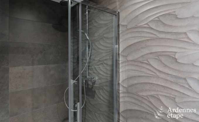 Maison de vacances avec piscine, wellness et de nombreux jeux, � Paliseul pour 28 personnes en Ardenne