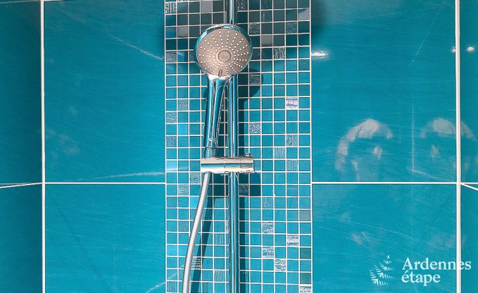 Maison de vacances avec piscine, wellness et de nombreux jeux, � Paliseul pour 28 personnes en Ardenne