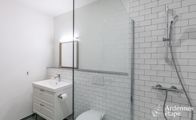 Villa de Luxe � Paliseul pour 26 personnes en Ardenne