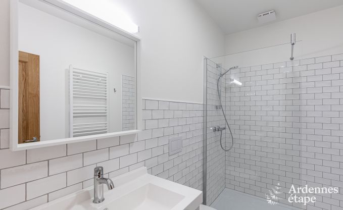 Villa de Luxe � Paliseul pour 26 personnes en Ardenne