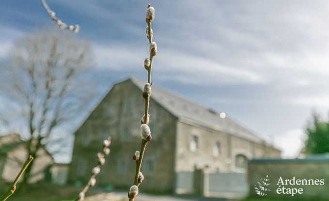 Villa de Luxe � Paliseul pour 26 personnes en Ardenne