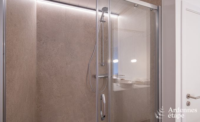 Villa de Luxe � Paliseul pour 18 personnes en Ardenne