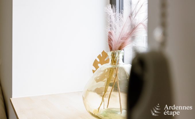 Maison de vacances  Paliseul pour 4 personnes en Ardenne