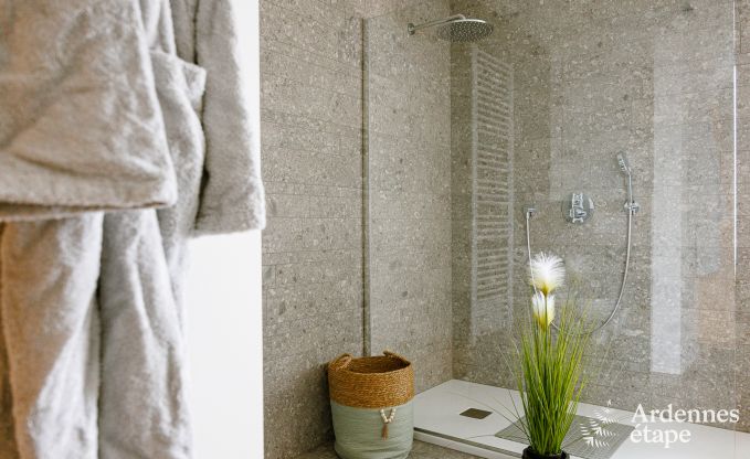 Maison de vacances  Paliseul pour 4 personnes en Ardenne