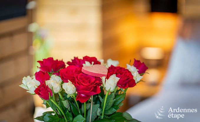 Charmante maison de vacances pour 2 personnes � Paliseul, Ardenne