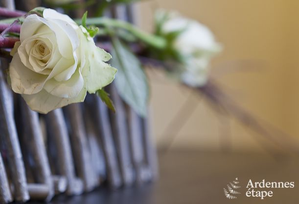 Maison de vacances � Paliseul pour 4/5 personnes en Ardenne