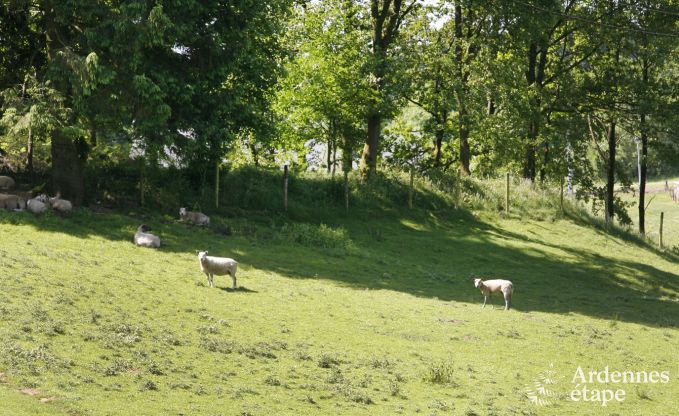 Maison de vacances � Paliseul pour 4/5 personnes en Ardenne