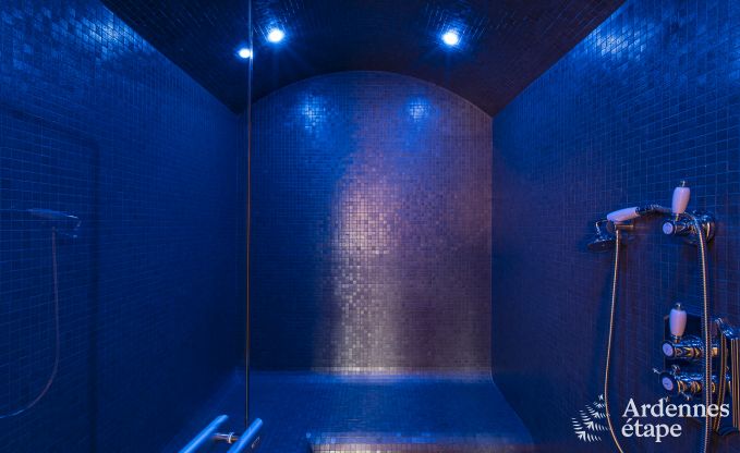 Maison de vacances � Paliseul pour 16/22 personnes en Ardenne