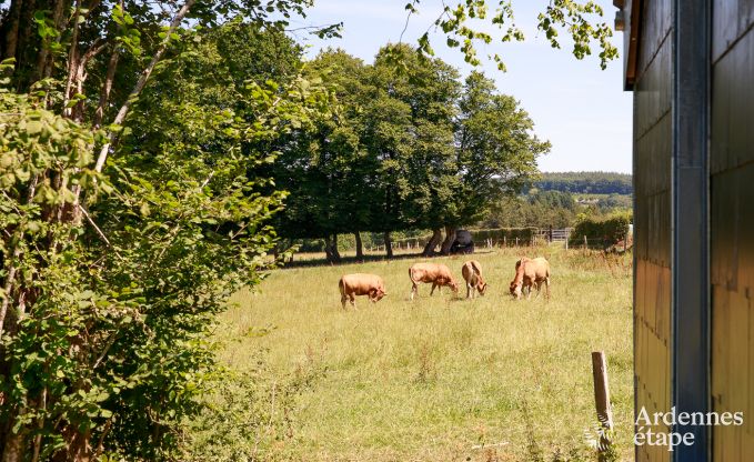 Maison de vacances  Paliseul pour 4 personnes en Ardenne