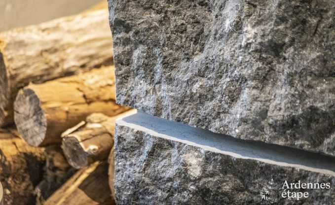 Maison de vacances � Paliseul pour 10 personnes en Ardenne