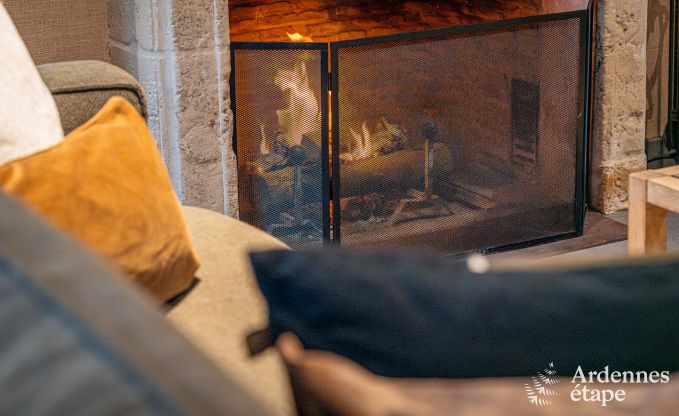 Maison de vacances  Paliseul pour 12 personnes en Ardenne