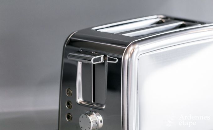 Maison de vacances avec piscine, wellness et jeux  Paliseul pour 14 personnes en Ardenne