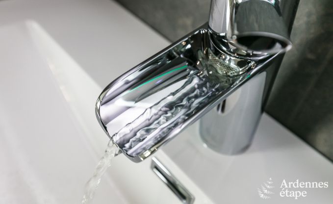 Maison de vacances avec piscine, wellness et jeux  Paliseul pour 14 personnes en Ardenne