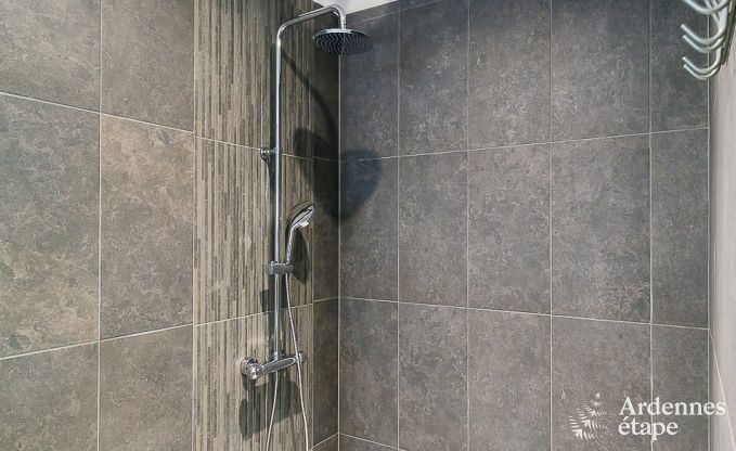 Maison de vacances avec piscine, wellness et jeux  Paliseul pour 14 personnes en Ardenne