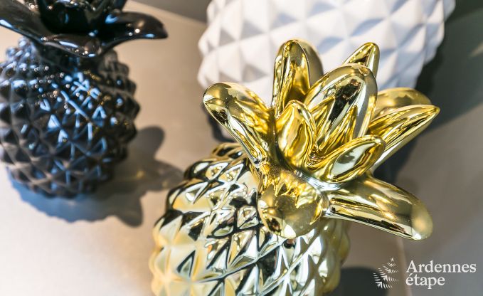 Maison de vacances avec piscine, wellness et jeux  Paliseul pour 14 personnes en Ardenne