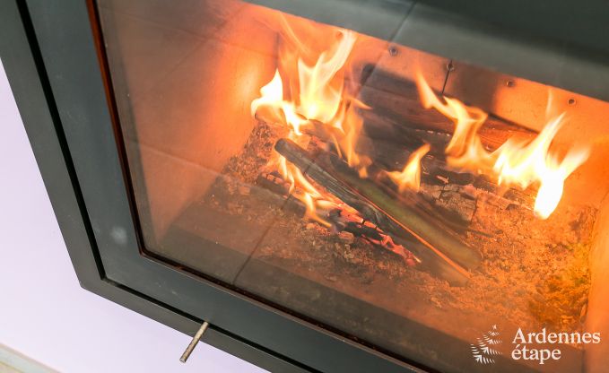 Maison de vacances avec piscine, wellness et jeux  Paliseul pour 14 personnes en Ardenne