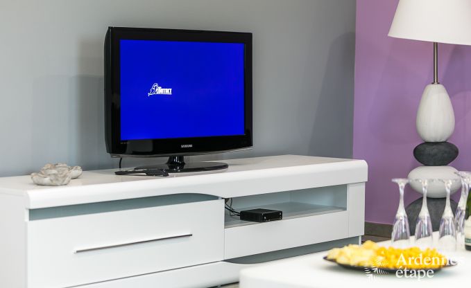 Maison de vacances avec piscine, wellness et jeux  Paliseul pour 14 personnes en Ardenne