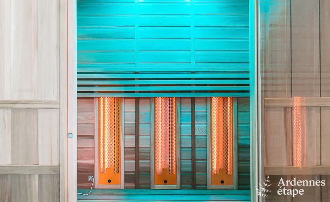 Maison de vacances avec piscine, wellness et jeux  Paliseul pour 14 personnes en Ardenne