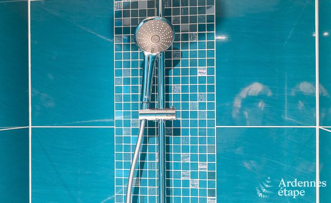 Maison de vacances avec piscine, wellness et jeux  Paliseul pour 14 personnes en Ardenne