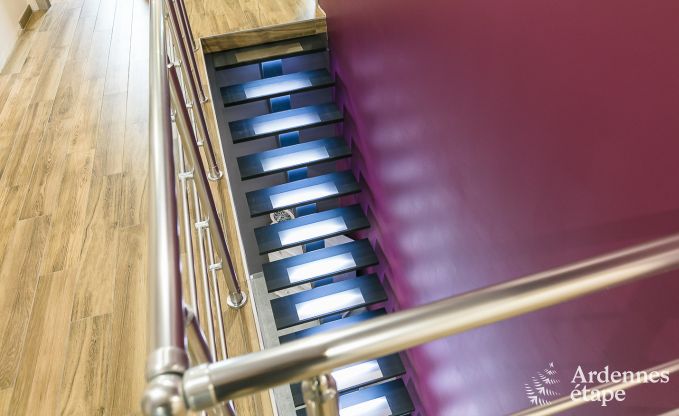 Maison de vacances avec piscine, wellness et jeux  Paliseul pour 14 personnes en Ardenne