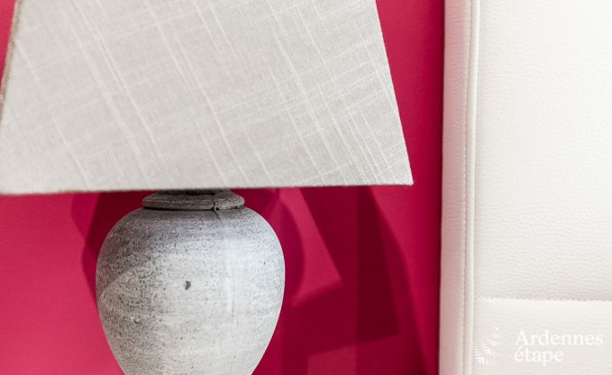 Maison de vacances avec piscine, wellness et jeux  Paliseul pour 14 personnes en Ardenne