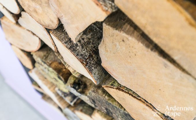 Maison de vacances avec piscine, wellness et jeux  Paliseul pour 14 personnes en Ardenne