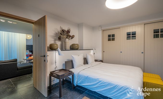 Villa de Luxe  Paliseul pour 18 personnes en Ardenne