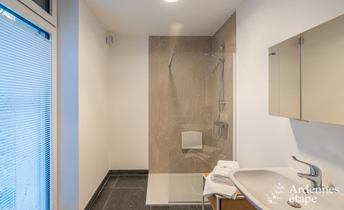 Villa de Luxe  Paliseul pour 18 personnes en Ardenne