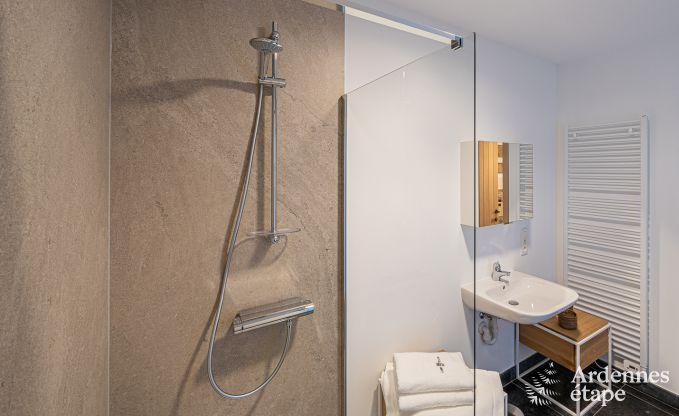 Villa de Luxe  Paliseul pour 18 personnes en Ardenne