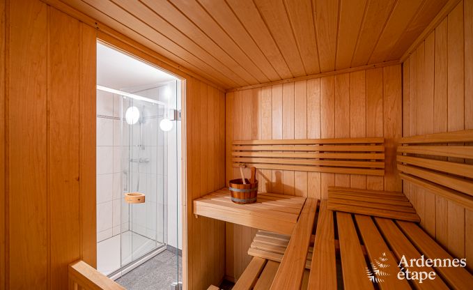 Villa de Luxe  Paliseul pour 18 personnes en Ardenne