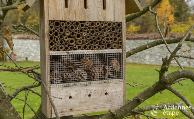 Ancien presbytre  Philippeville pour 12/14 personnes en Ardenne