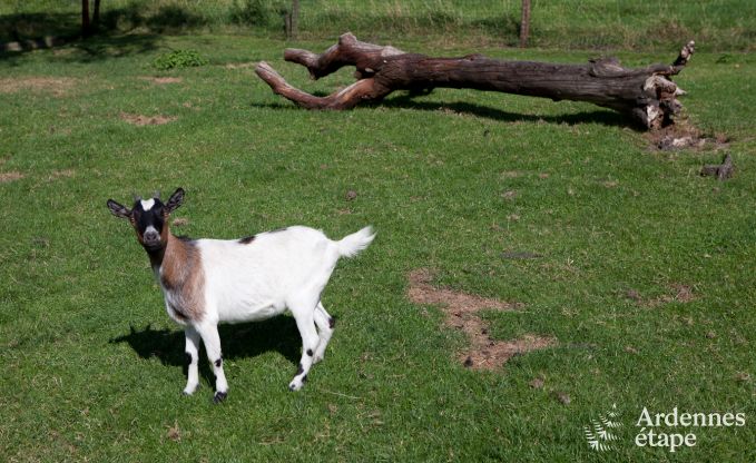 Vacances � la ferme � Plombi�res pour 7 personnes en Ardenne