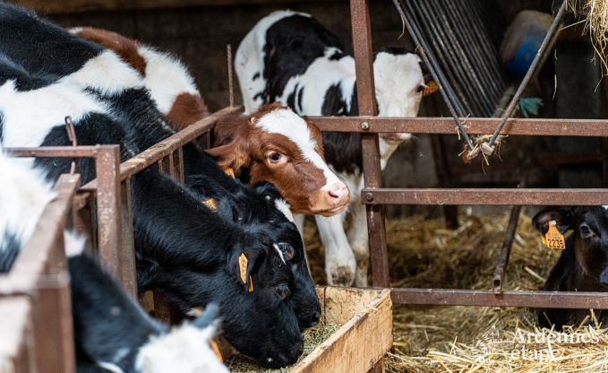 Vacances � la ferme � Plombi�res pour 6 personnes en Ardenne