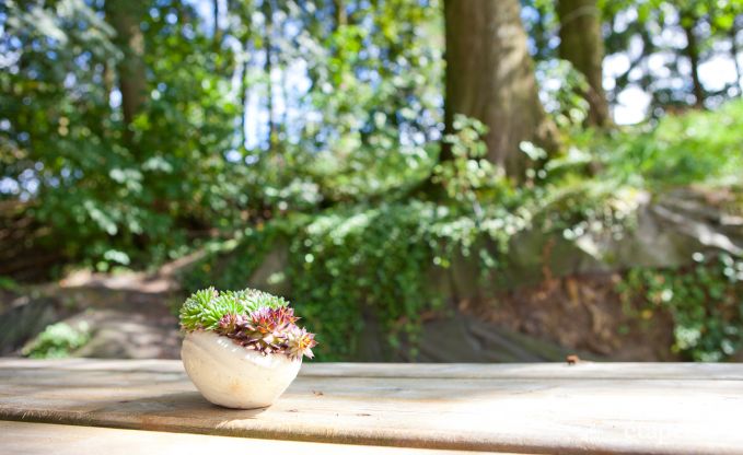 Vacances � la ferme � Plombi�res pour 6 personnes en Ardenne