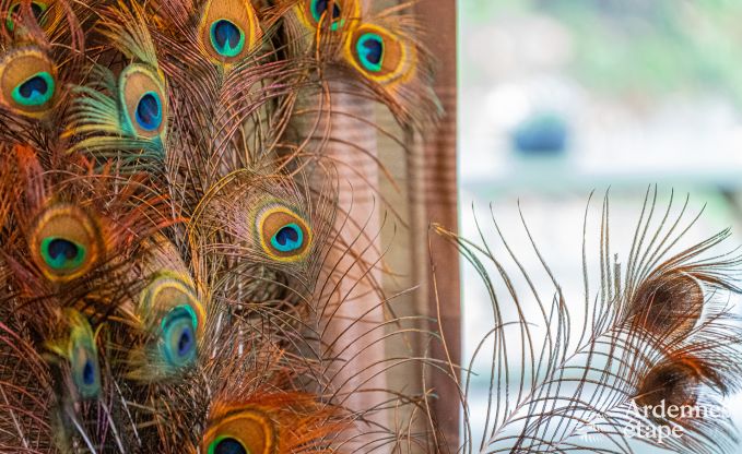 Vacances  la ferme  Plombires pour 6 personnes en Ardenne