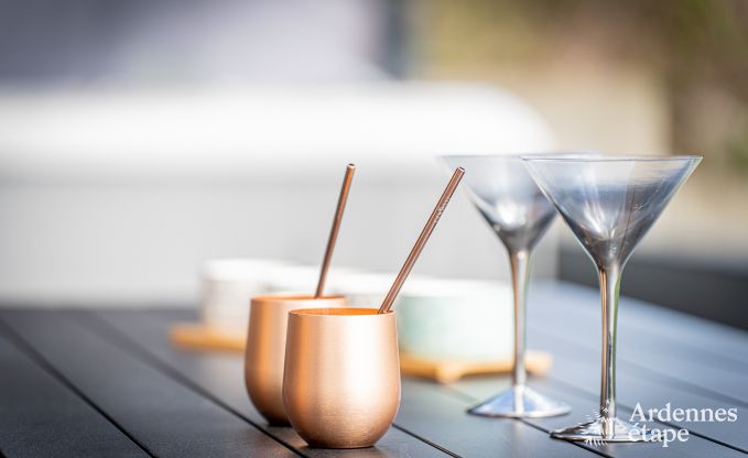 Maison de vacances de luxe � Plombi�res : villa pour 6 personnes avec jacuzzi, 3 chambres et jardin priv�