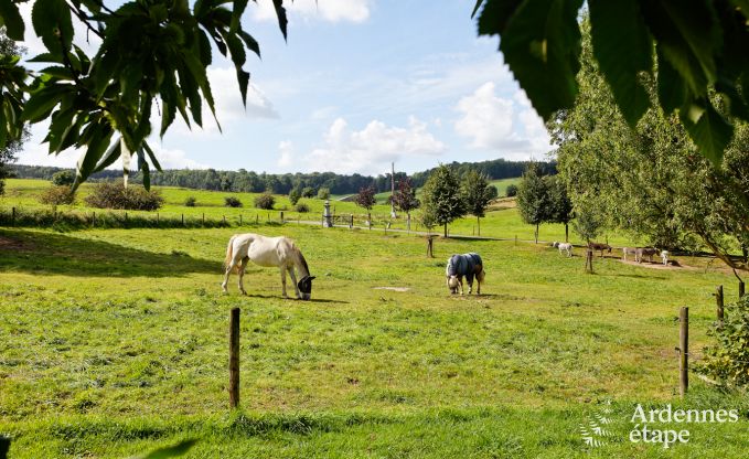 Maison de vacances  Plombires pour 10 personnes en Ardenne