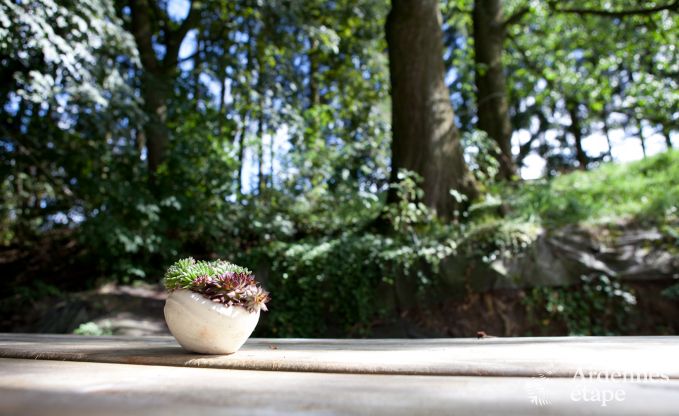 Vacances  la ferme  Plombires pour 6 personnes en Ardenne