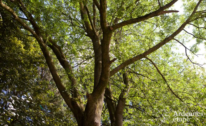 Vacances  la ferme  Plombires pour 6 personnes en Ardenne