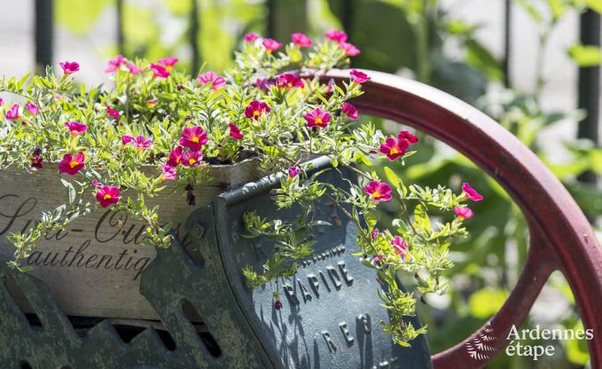 Maison de vacances � Porcheresse (Daverdisse) pour 2 personnes en Ardenne