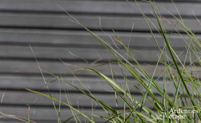 Maison de vacances � Porcheresse (Daverdisse) pour 2 personnes en Ardenne