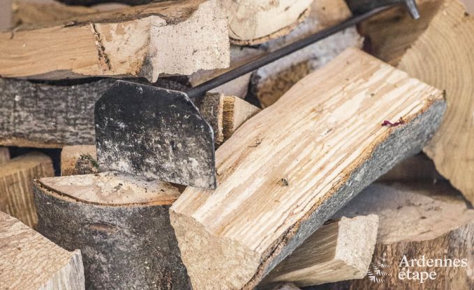 Maison de vacances  Porcheresse (Daverdisse) pour 2 personnes en Ardenne