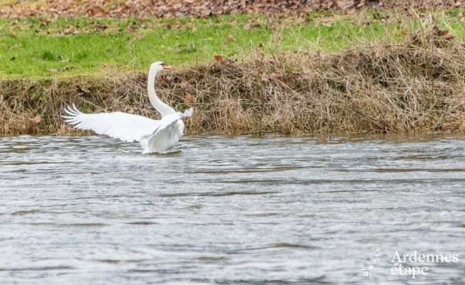 Maison de vacances � Poupehan pour 26 personnes en Ardenne