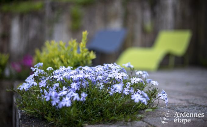 Gite haut de gamme � Profondeville pour 5 personnes en Ardenne