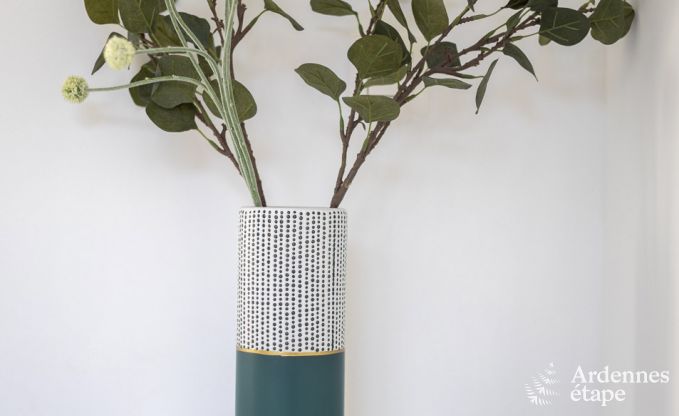 Gite haut de gamme � Profondeville pour 5 personnes en Ardenne