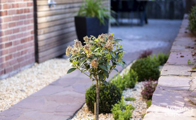 Gite haut de gamme  Profondeville pour 5 personnes en Ardenne