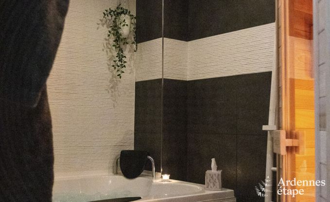 Gite haut de gamme  Profondeville pour 5 personnes en Ardenne